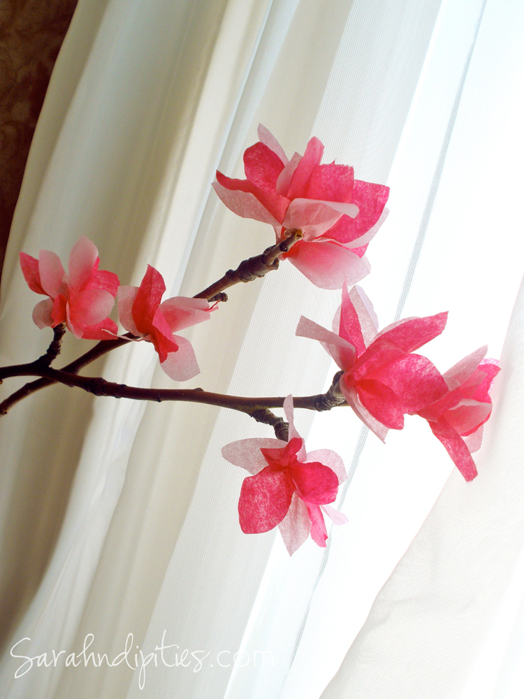 Large tissue Paper Cherry Blossom Flowers